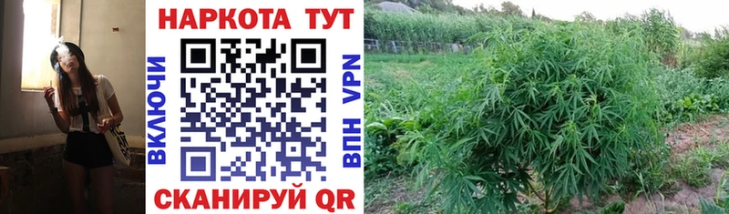 Купить Гашиш  MDMA  Меф  Красный Холм
