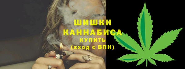 шишки Гусь-Хрустальный