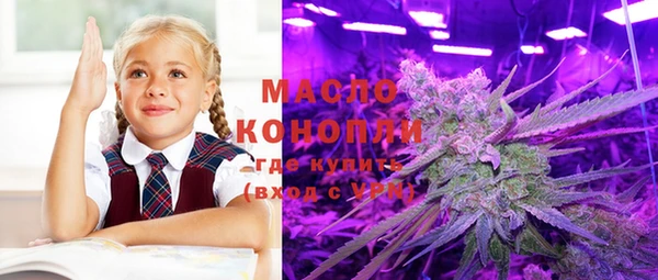 шишки Гусь-Хрустальный