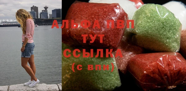 шишки Гусь-Хрустальный
