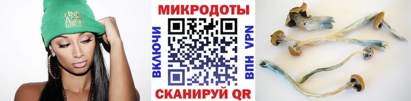 Псилоцибиновые грибы GOLDEN TEACHER  Купить где  Красный Холм 